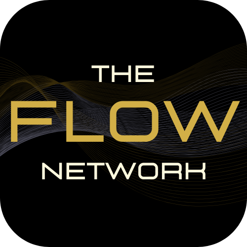 theflownetwork.nl